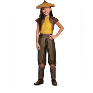 Raya and the Last Dragon girls costume New with tags. Pet free clean home!